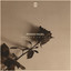 Journey to Eden - Roman Nagel