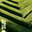 Labyrinth - Holly Jones