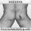 Beranek profile