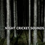 Elegant Outside Cricket Sounds cover