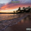 The Qfm Sunset Session - Sponsored by NaturaLeaf - Qmusica.com