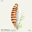 A Coupa - Rone White, Alessandro Diruggiero Remix
