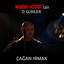 O Günler ( Nadide Hayat Orijinal Film Müziği ) cover