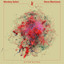 Nava - Hannes Bieger Remix