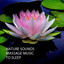 Nature Sounds: Massage Music To Sleep cover