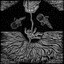 Limbo cover