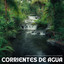 Corrientes De Agua: La Música Perfecta Para Encontrar La Paz Interior cover
