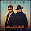 Almas Gemelas cover