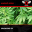 Andre Rigg — Tarahumara (Original Mix) cover art