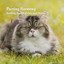 Purring Harmony: Soothing Sounds of Cats and Nature cover