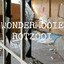 Wouter Thijssen - Wondermooie Rotzooi