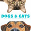 Dogs & Cats: The Best Selection Of Water Sounds For Animals cover