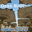 Ozan birgül profile