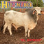Unknown Title cover
