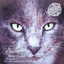 Shap Shoy - D-Nox & Beckers Remix