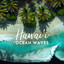 Hawaiʻi Ocean Waves cover