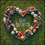 Go Sports ID 3 - CFOX FIFA