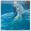 . - Hollandia Pools and Spas - Diving Deeper September Promo