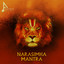 Narasimha Mantra cover