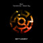 Transformer - Extended Mix