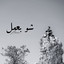 Chou Baamel