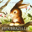 Rustic Bellyflop - Fila Brazillia