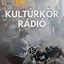 Rádió - Radio Edit cover