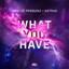 What You Have - Extended Mix