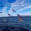 Majestic Ocean: Sounds of Soothing Water and Waves, Singing Seagulls with Soft Instrumental Melodies cover