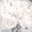 Unknown Title cover