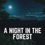 A Night in the Forest cover