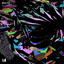 Fluttering - Extended Mix