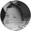 Mr Barry - Cris Celiz Remix