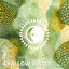 Shallow Water - After Hours Extended Mix