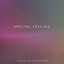 Special Feeling - Lisette van de Pavoordt