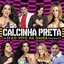 Virei Seu Fã, Vol. 23 (Ao Vivo) cover