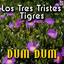 Los Tres Tristes Tigres - D*m D*m