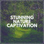 Stunning Nature Captivation cover
