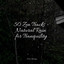 50 Zen Tracks - Natural Rain for Tranquility cover