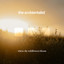 The Ambientalist - Where The Wildflowers Bloom