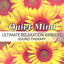 Quiet Mind: Ultimate Relaxation Ambient Sound Therapy cover