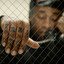 Free TC (Deluxe Edition) cover