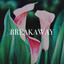 Breakaway cover