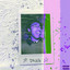 Drag cover