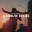 A Tribute To Life - Robimon Extended Remix