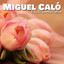 Fruta Amarga cover