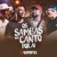 Os Sambas que Canto por Aí (Ao Vivo) cover