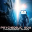 Psychedelic Goa & Progressive Trance Top 20 Hits 2020, Vol1 cover
