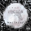 Walther-P cover