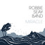 Miracle (Deluxe) cover